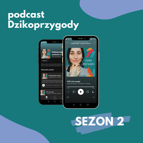 Podcast Dzikoprzygody - SEZON 2